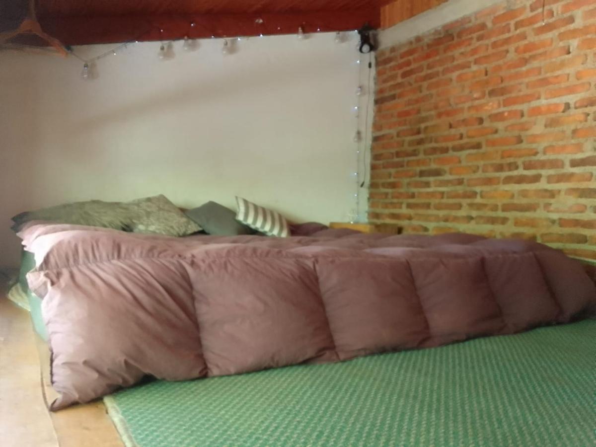 San Martín de los Andes Casita En La Montana 아파트 외부 사진